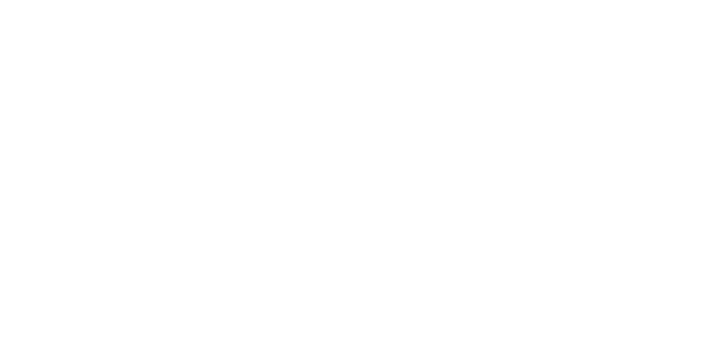 Auto Solution